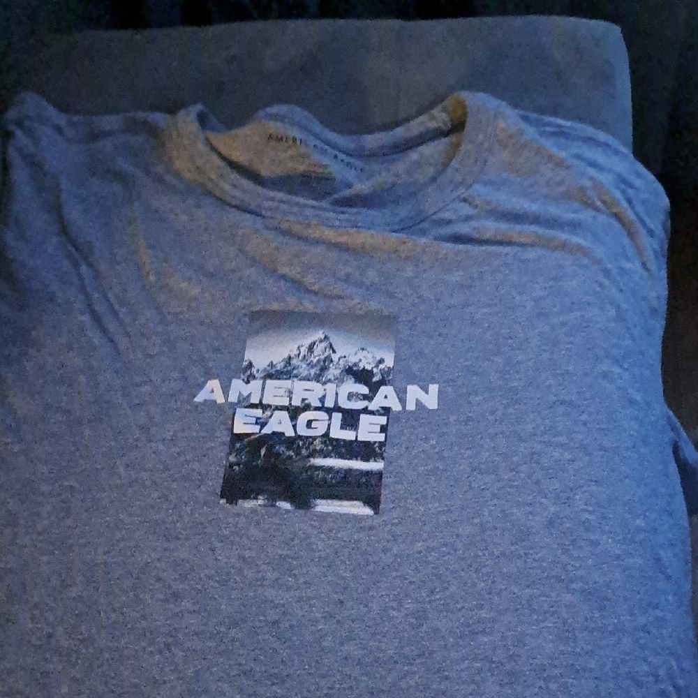 American Eagle Outfitters Blue Graphic Tee